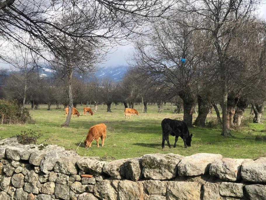 Guadarrama, Atico Nuevo Con Espectaculares Vistas Exterior foto